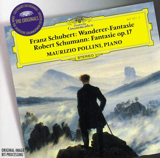 Wanderer-Fantasie book cover