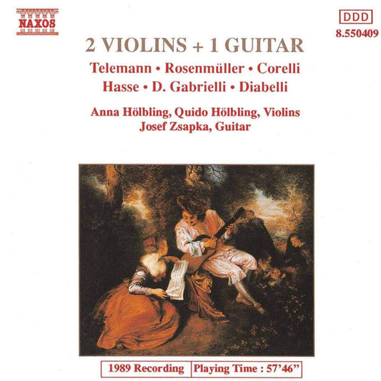 2 Violinen & 1 Gitarre book cover