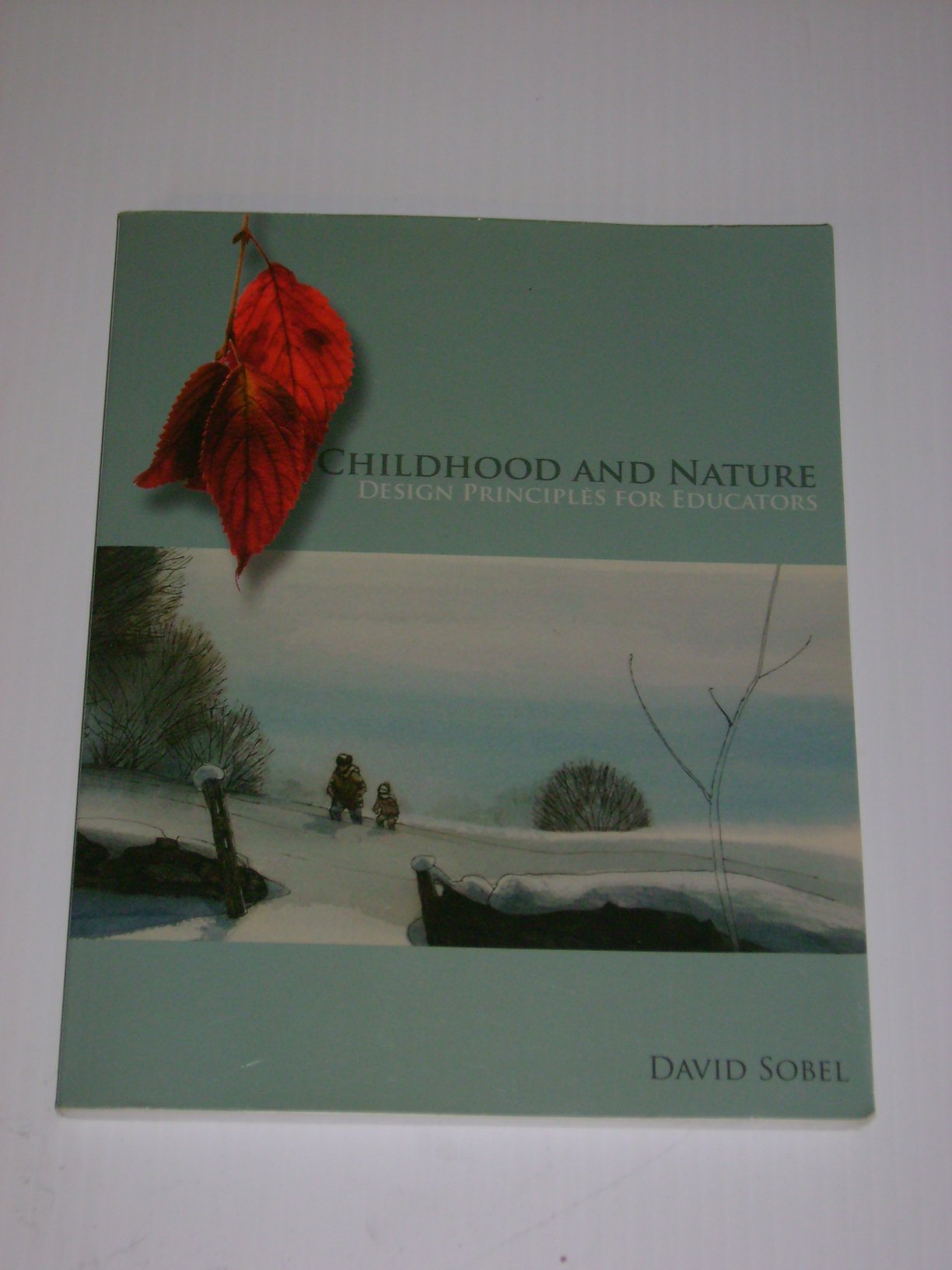 Childhood and Nature: Design Principles for Educators book cover