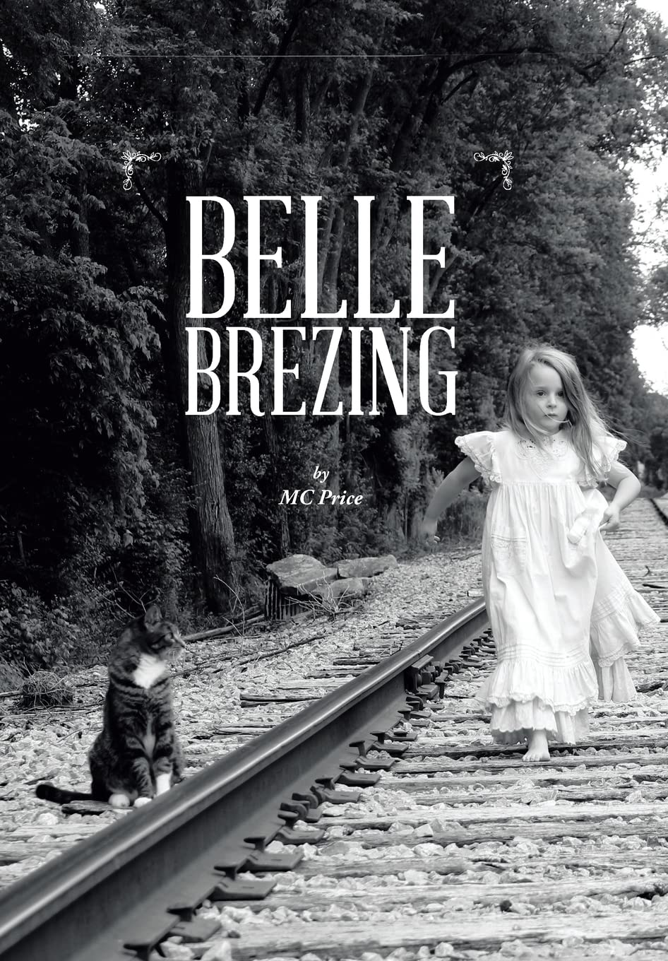 Belle Brezing book cover