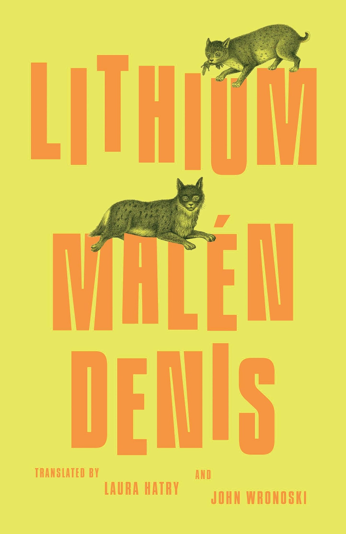 Lithium book cover