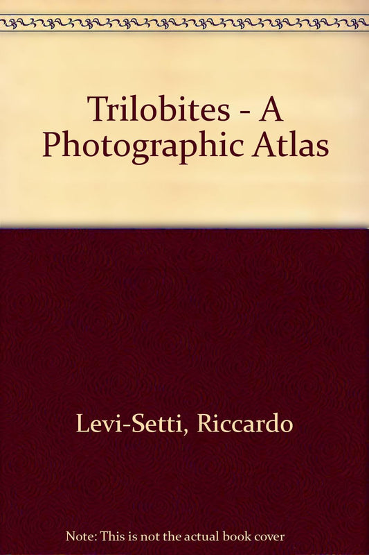 Photographic Atlas