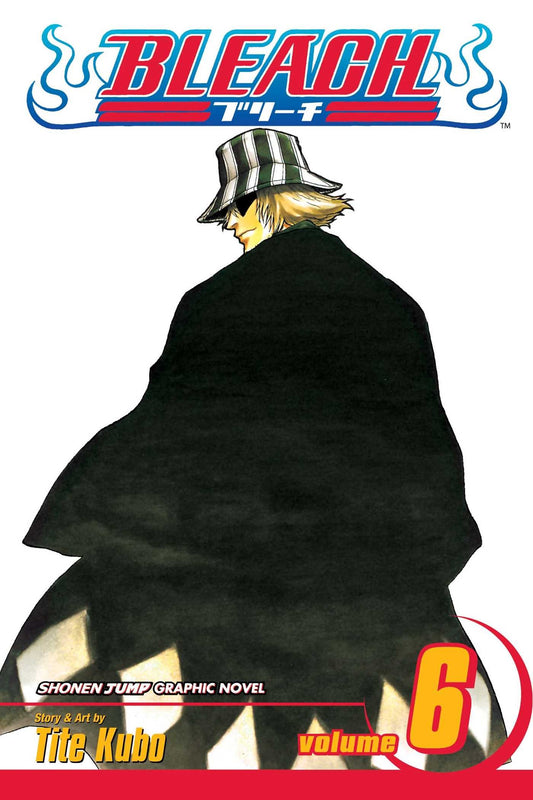 Bleach, Vol. 6 book cover