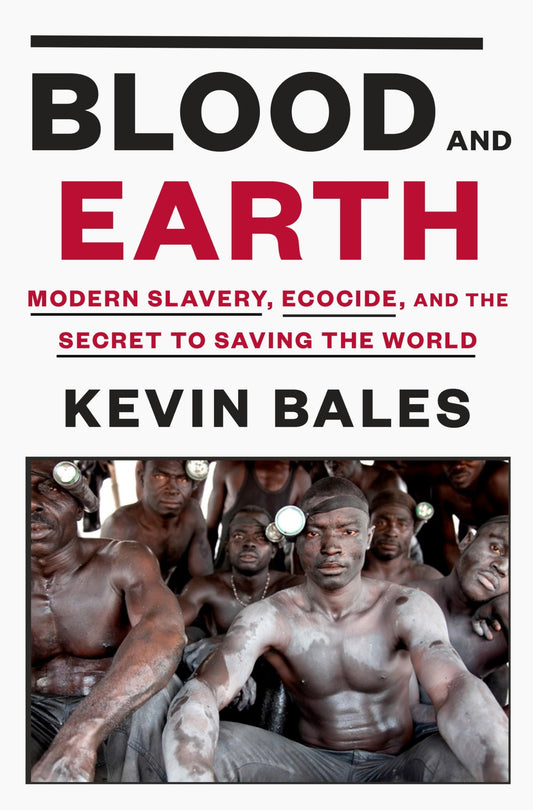 Blood and Earth: Modern Slavery, Ecocide, and the Secret to Saving the World book cover