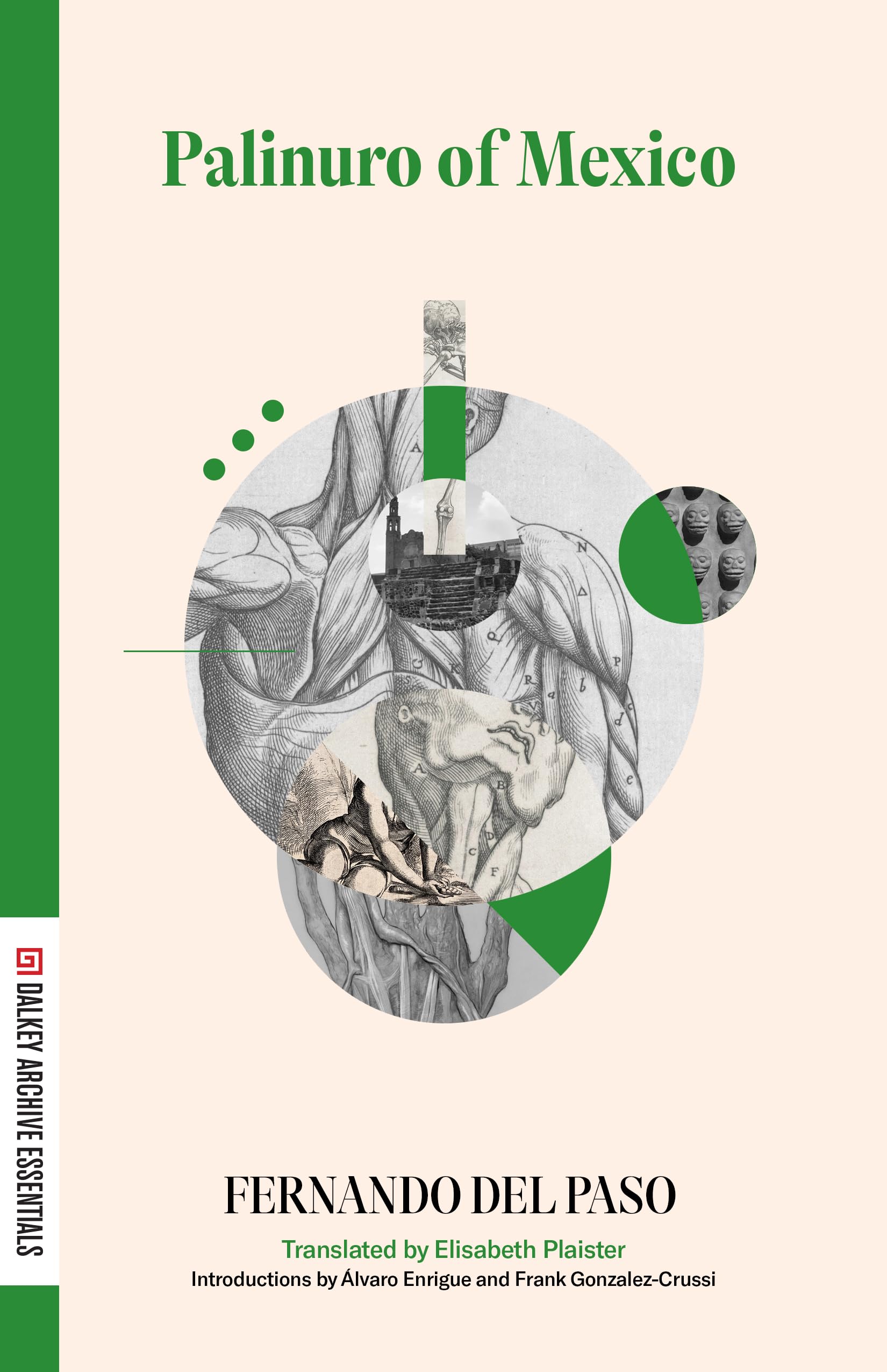 Palinuro of Mexico book cover