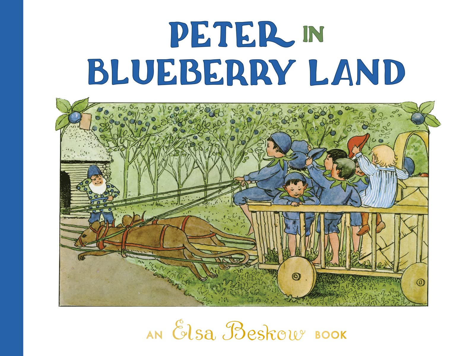 Peter in Blueberry Land book cover