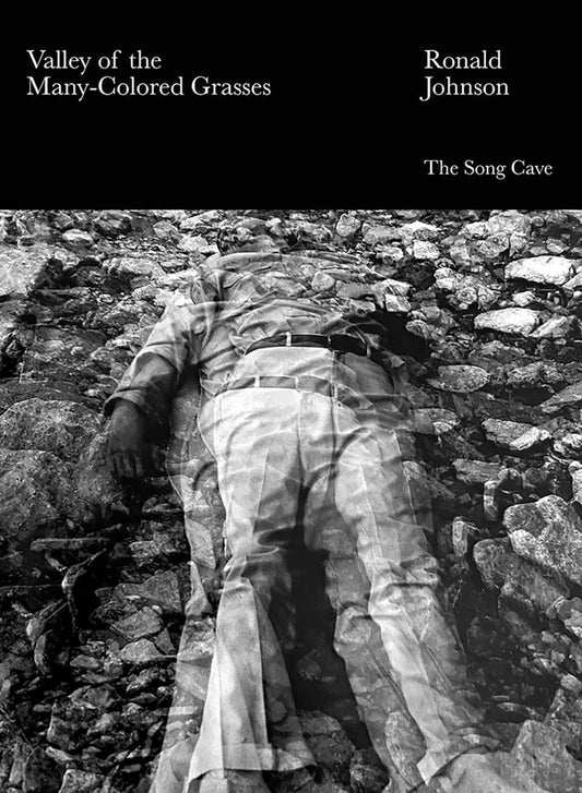 Valley of the Many-Colored Grasses book cover