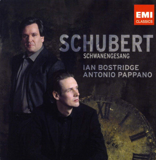 Schwanengesang book cover