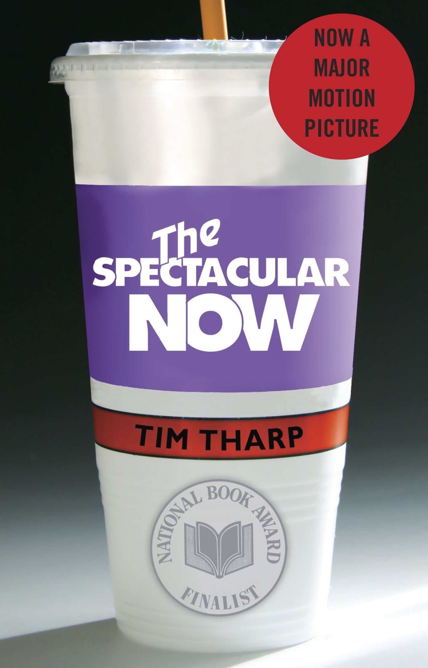 Spectacular Now book cover