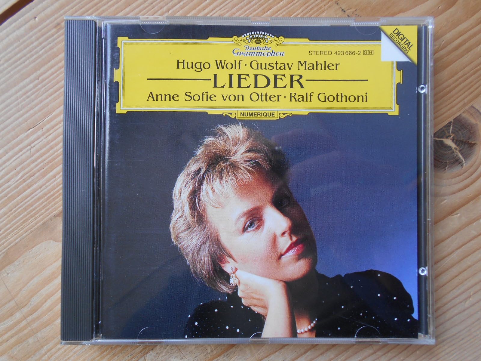 Wolf & Mahler: Lieder book cover