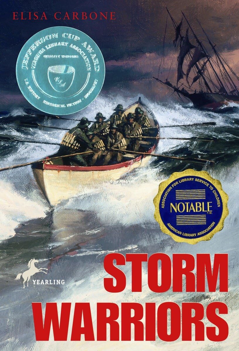 Storm Warriors book cover