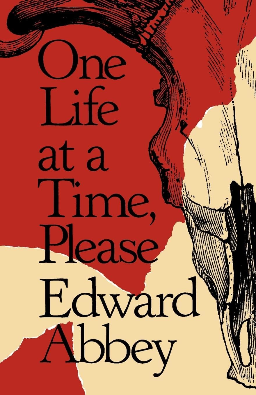 One Life at a Time, Please book cover