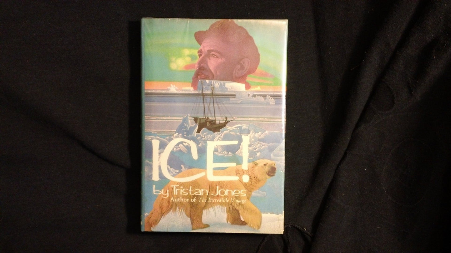 Ice book cover