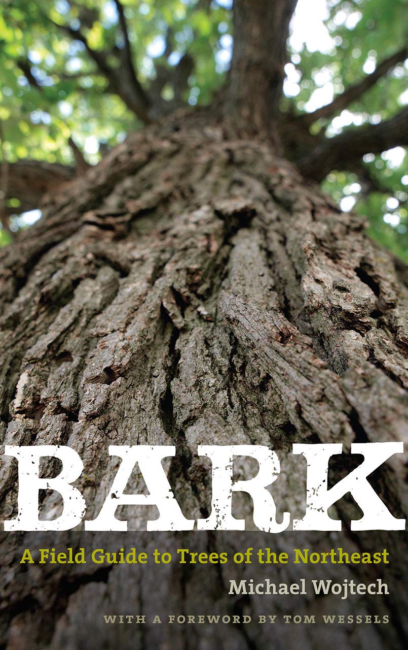 Bark: A Field Guide to Trees of the Northeast book cover
