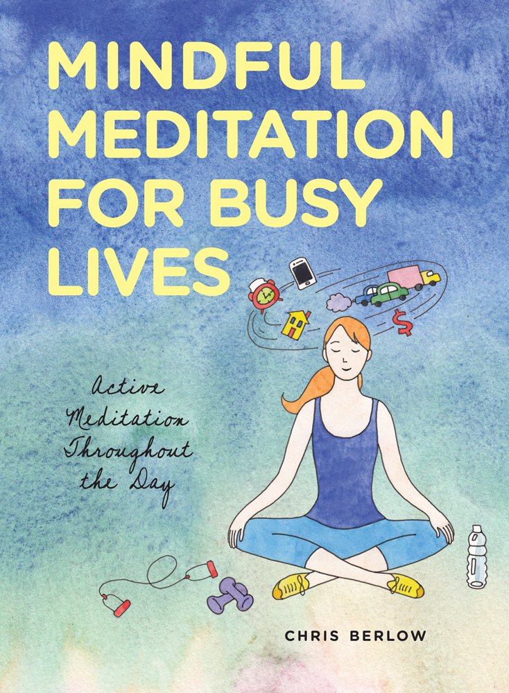 Mindful Meditation for Busy Lives: Active Meditation Throughout the Day book cover