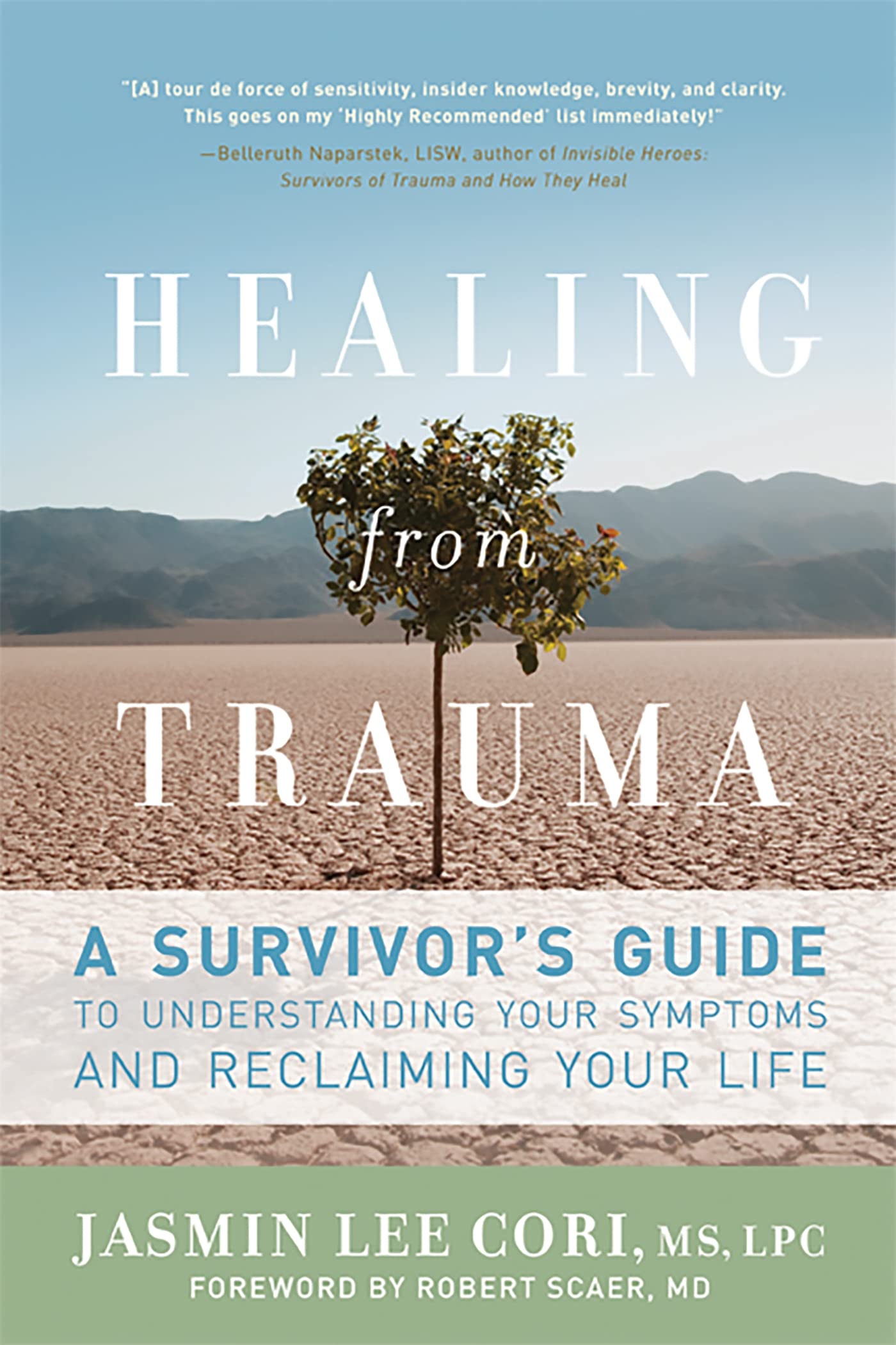 Healing from Trauma: A Survivor's Guide to Understanding Your Symptoms and Reclaiming Your Life book cover