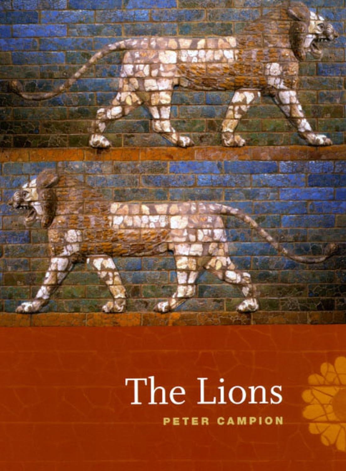 Lions book cover