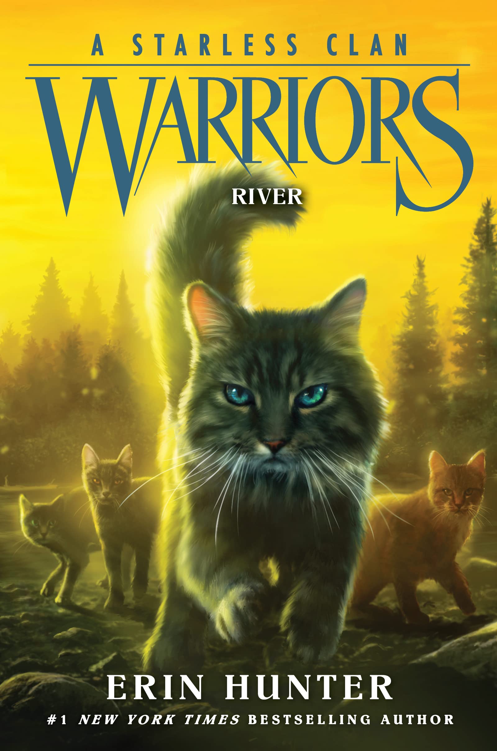 Warriors: A Starless Clan #1: River book cover