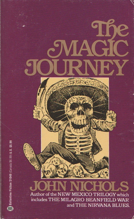 Magic Journey book cover