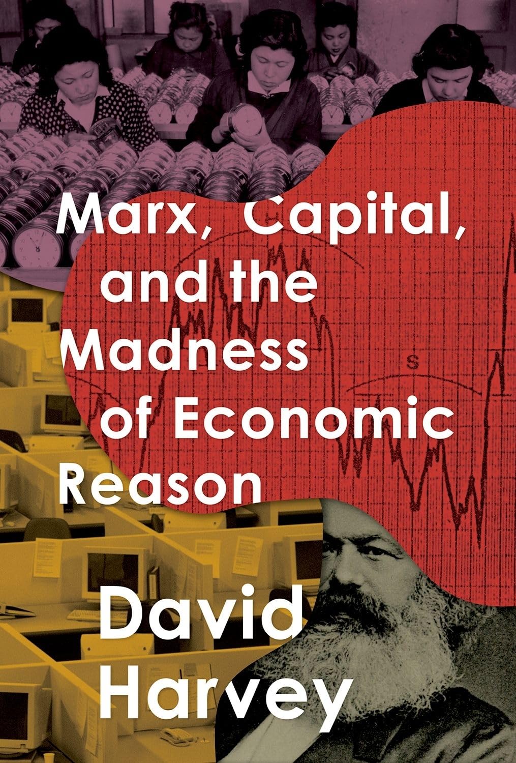 Marx, Capital, and the Madness of Economic Reason book cover