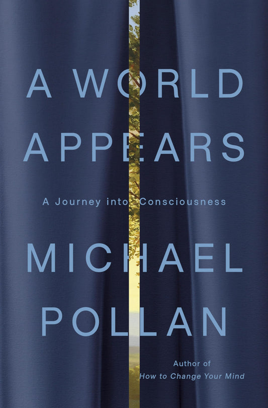 A World Appears book cover