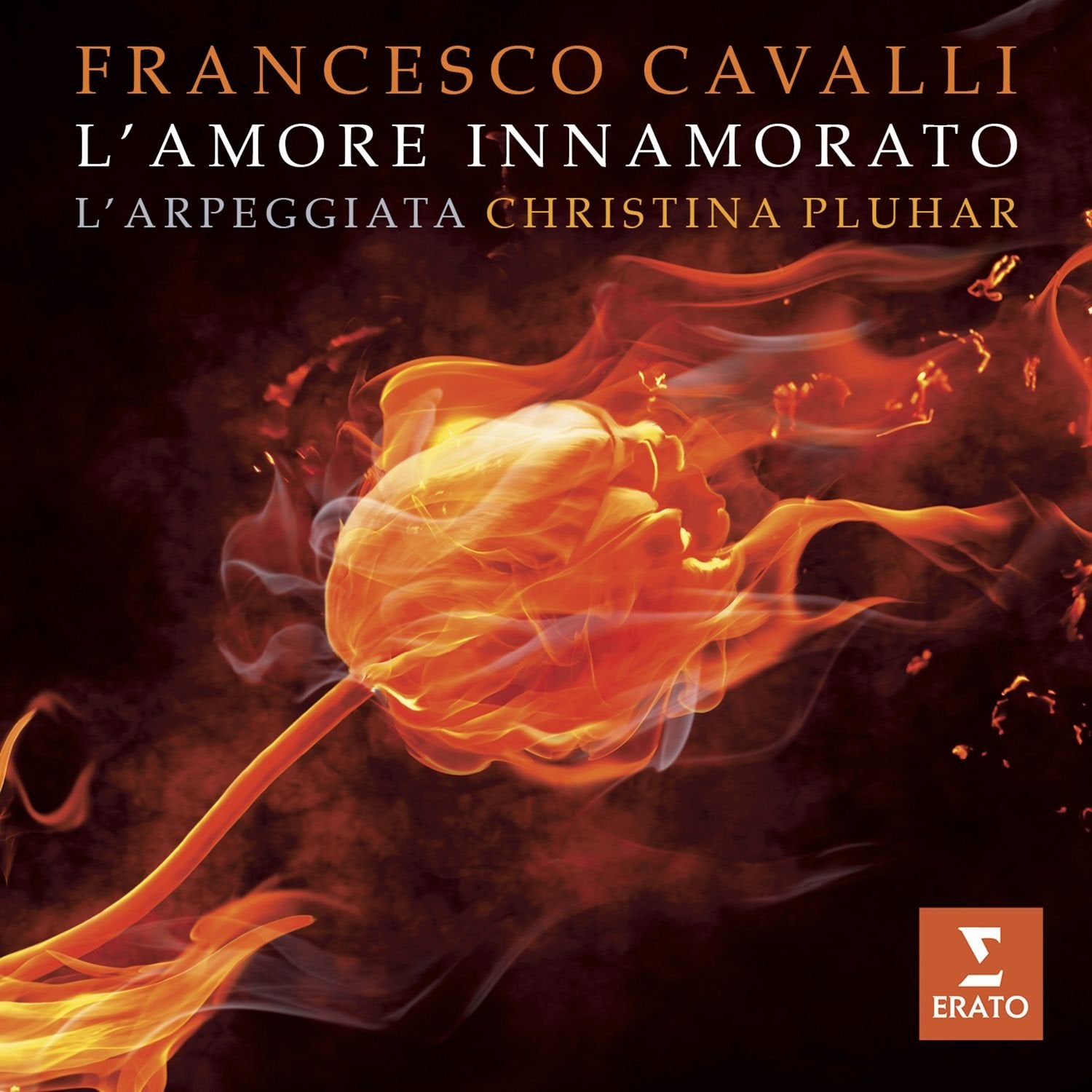 L'Armore Innamorato book cover