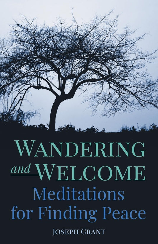 Wandering and Welcome: Meditations for Finding Peace book cover