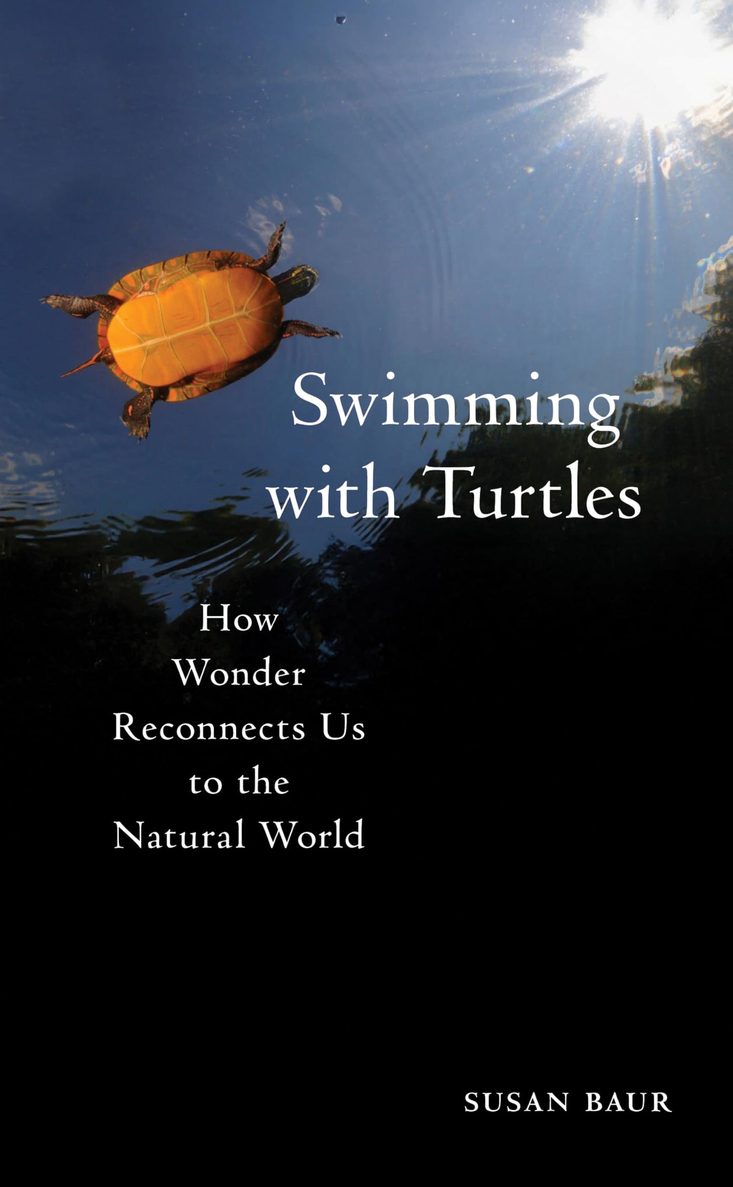 Swimming with Turtles book cover