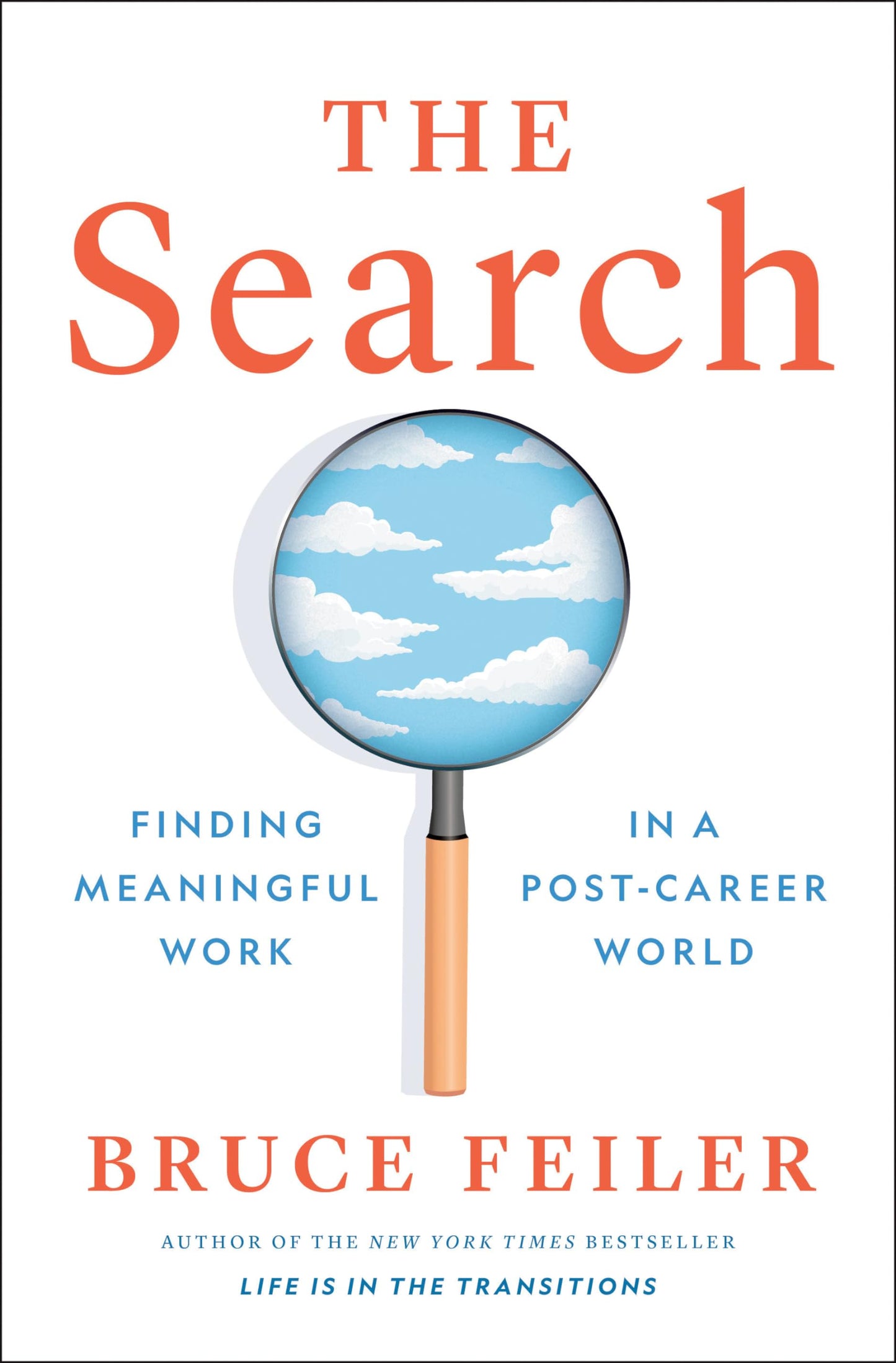 Search: Finding Meaningful Work in a Post-Career World book cover