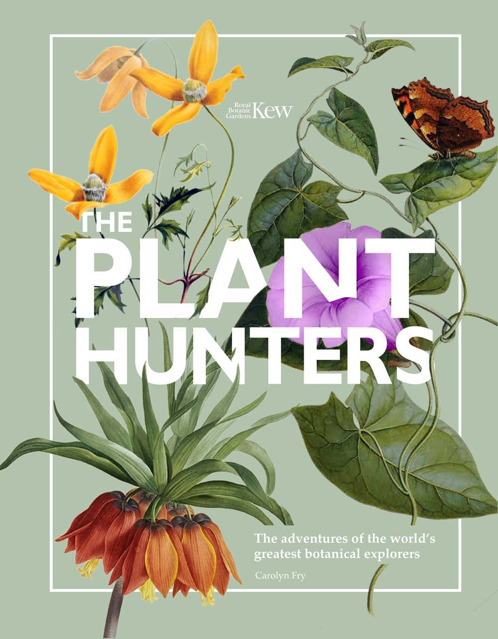 Plant Hunters: The Adventures of the World's Greatest Botanical Explorers book cover