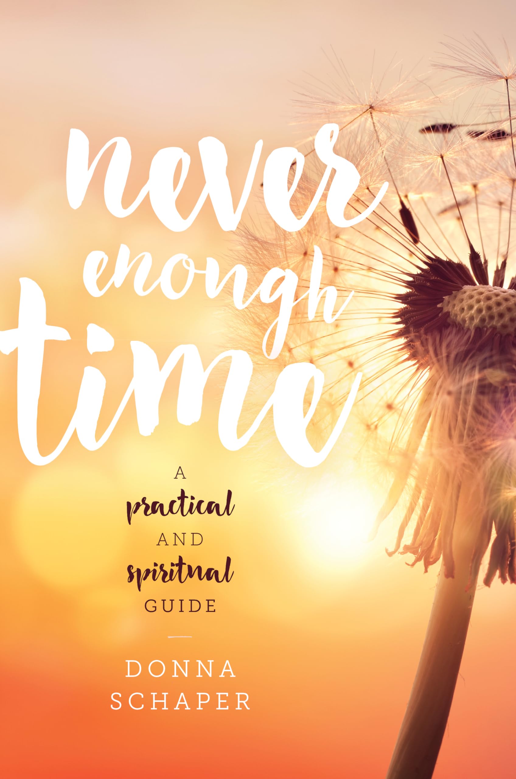 Never Enough Time: A Practical and Spiritual Guide book cover