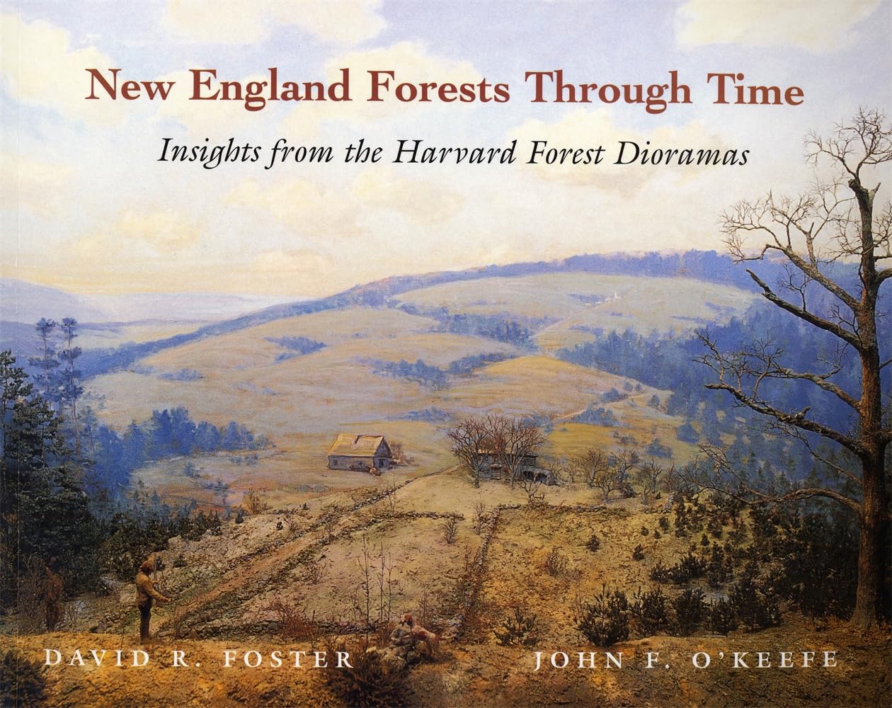 New England Forests Through Time: Insights from the Harvard Forest Dioramas book cover