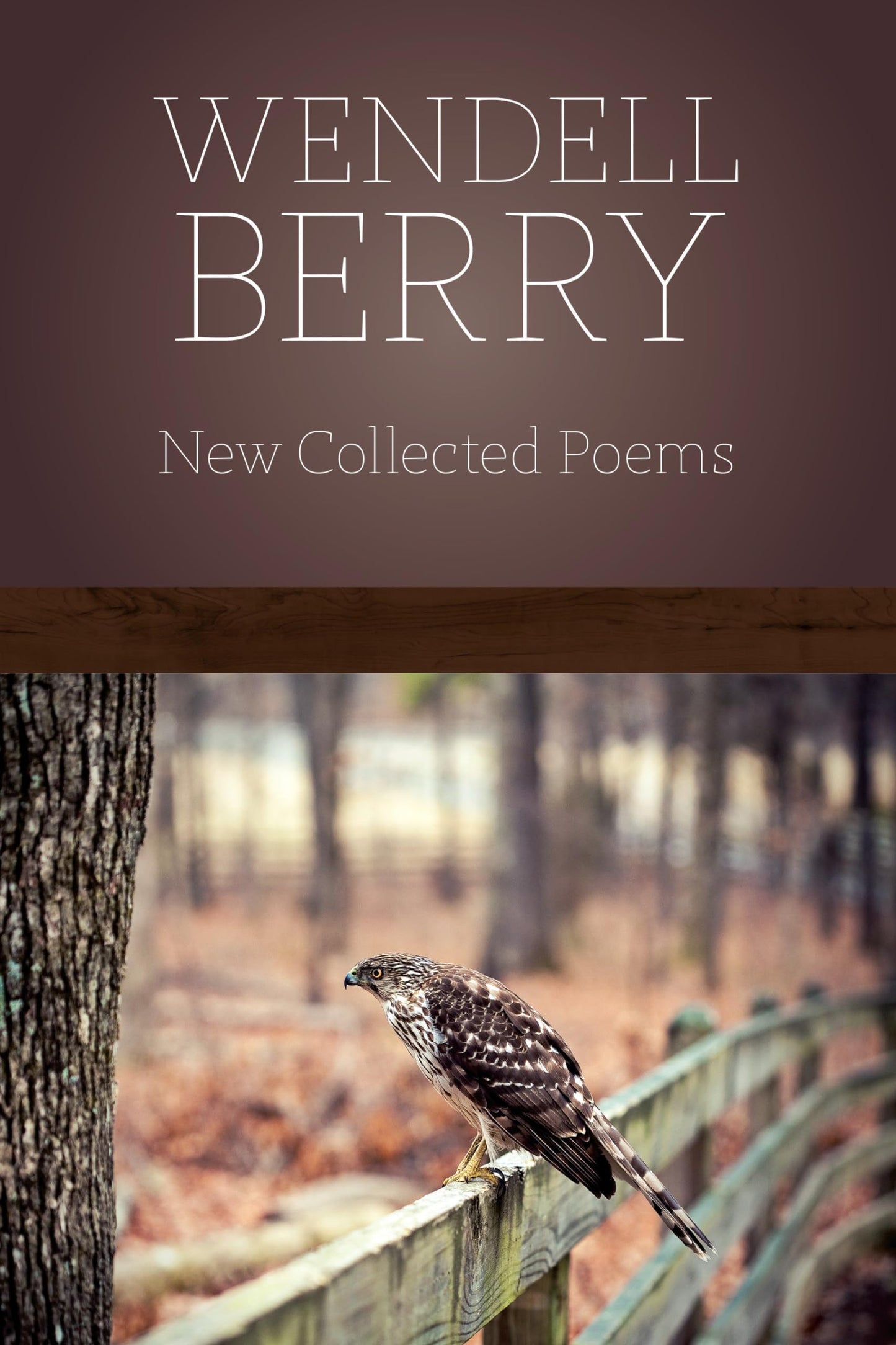 New Collected Poems