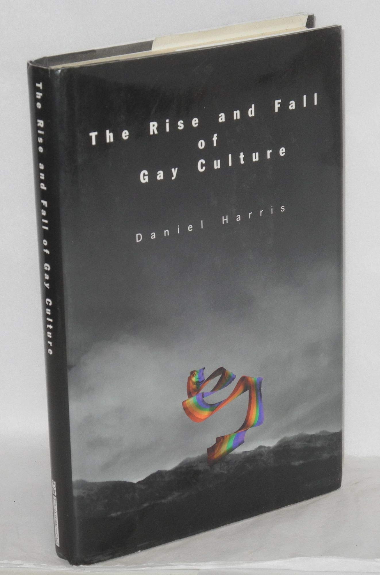 Rise and Fall of Gay Culture book cover