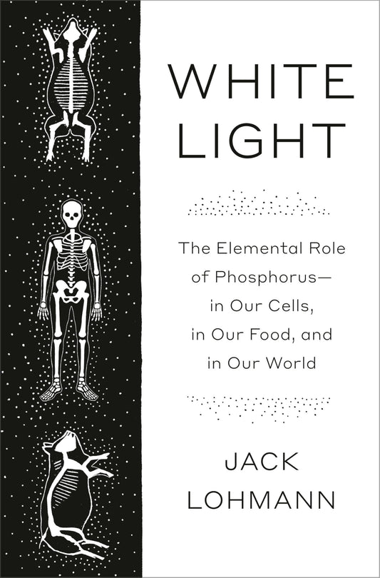 White Light book cover