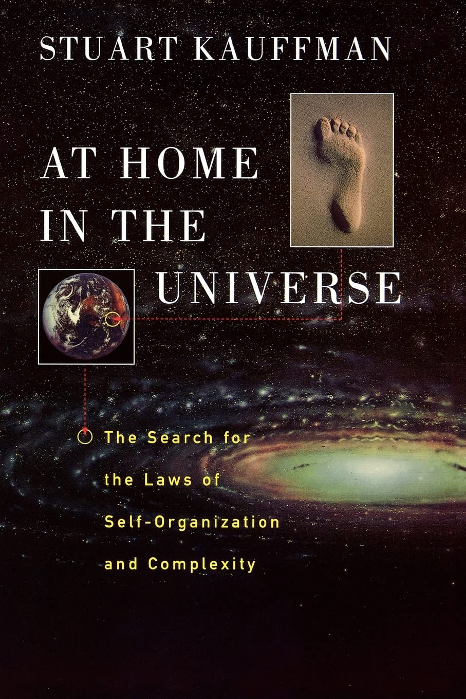 At Home in the Universe: The Search for the Laws of Self-Organization and Complexity (Revised) book cover