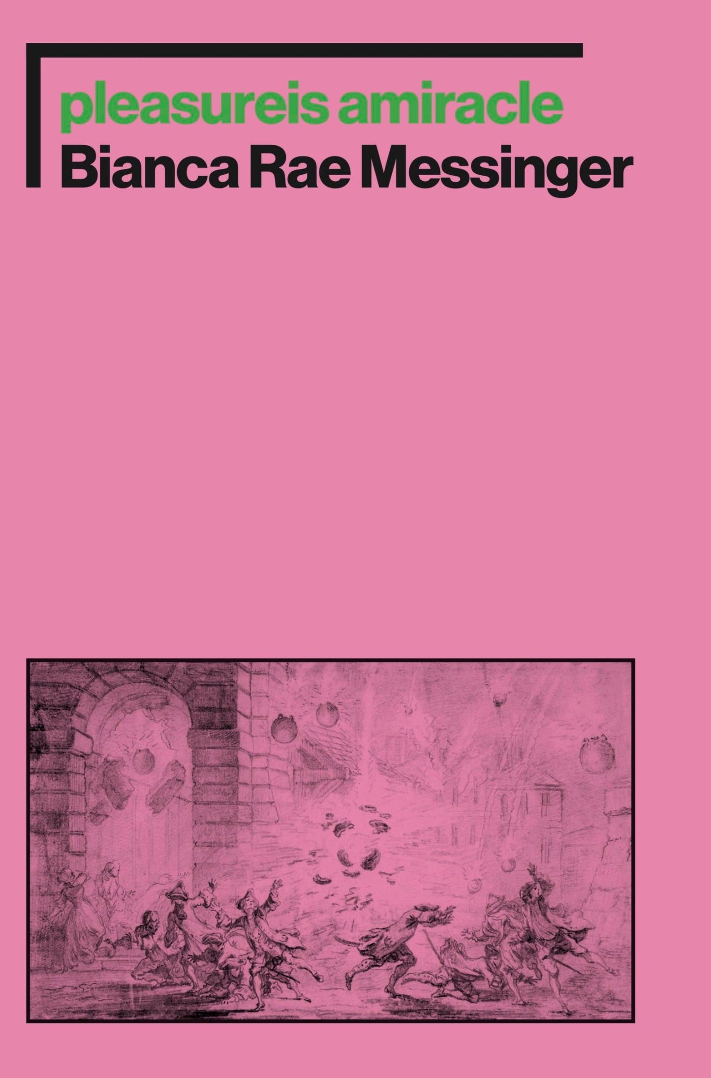 pleasureis amiracle book cover