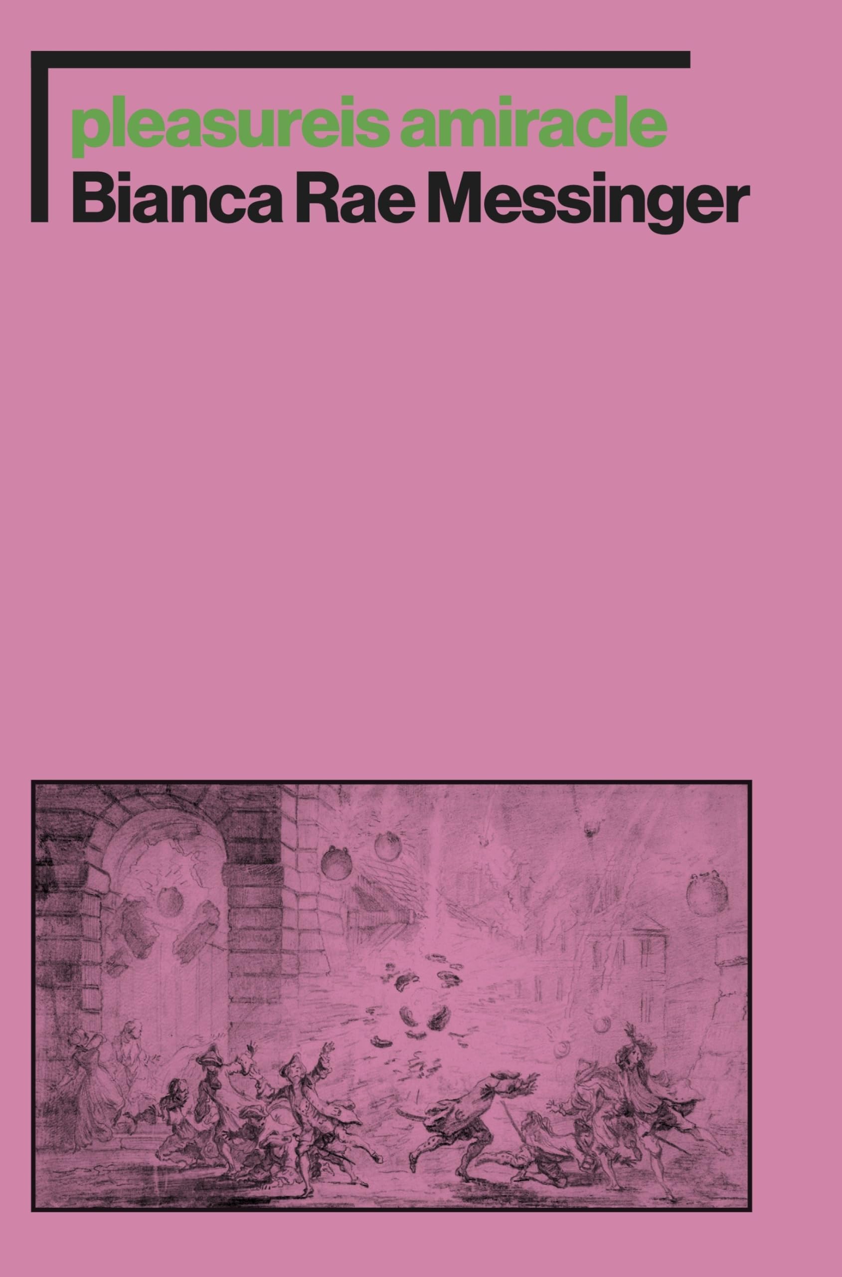 pleasureis amiracle book cover