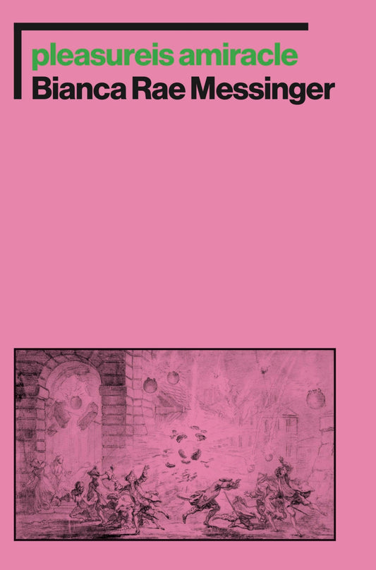 pleasureis amiracle book cover