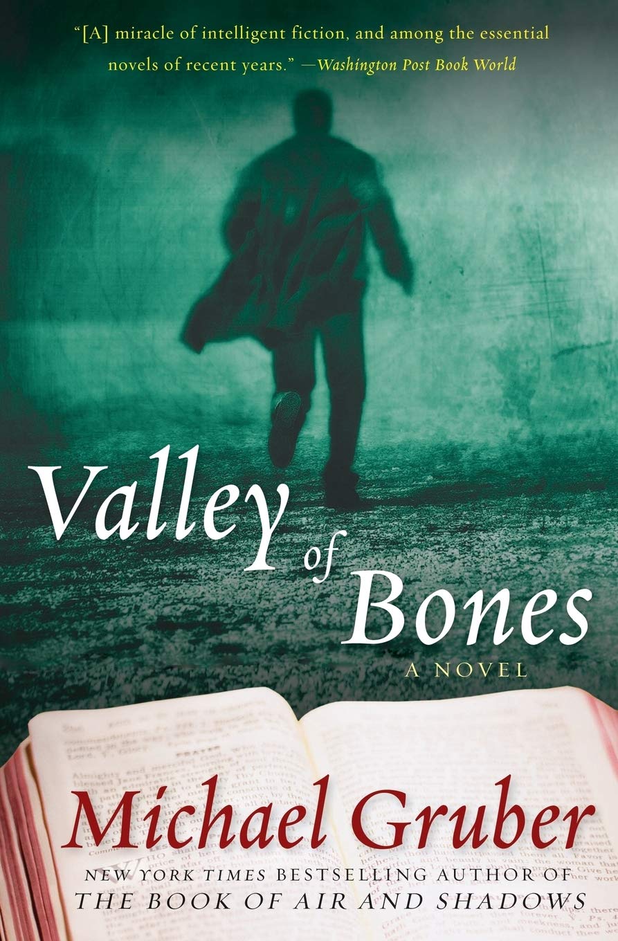Valley of Bones book cover