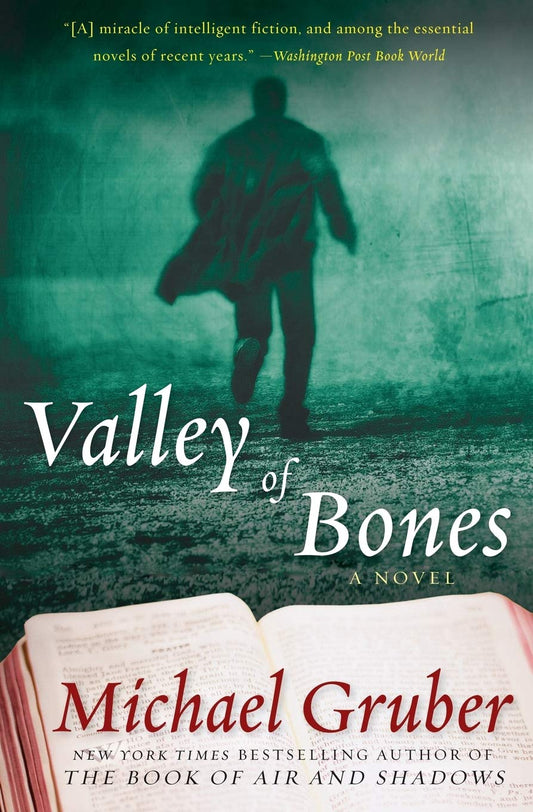 Valley of Bones book cover
