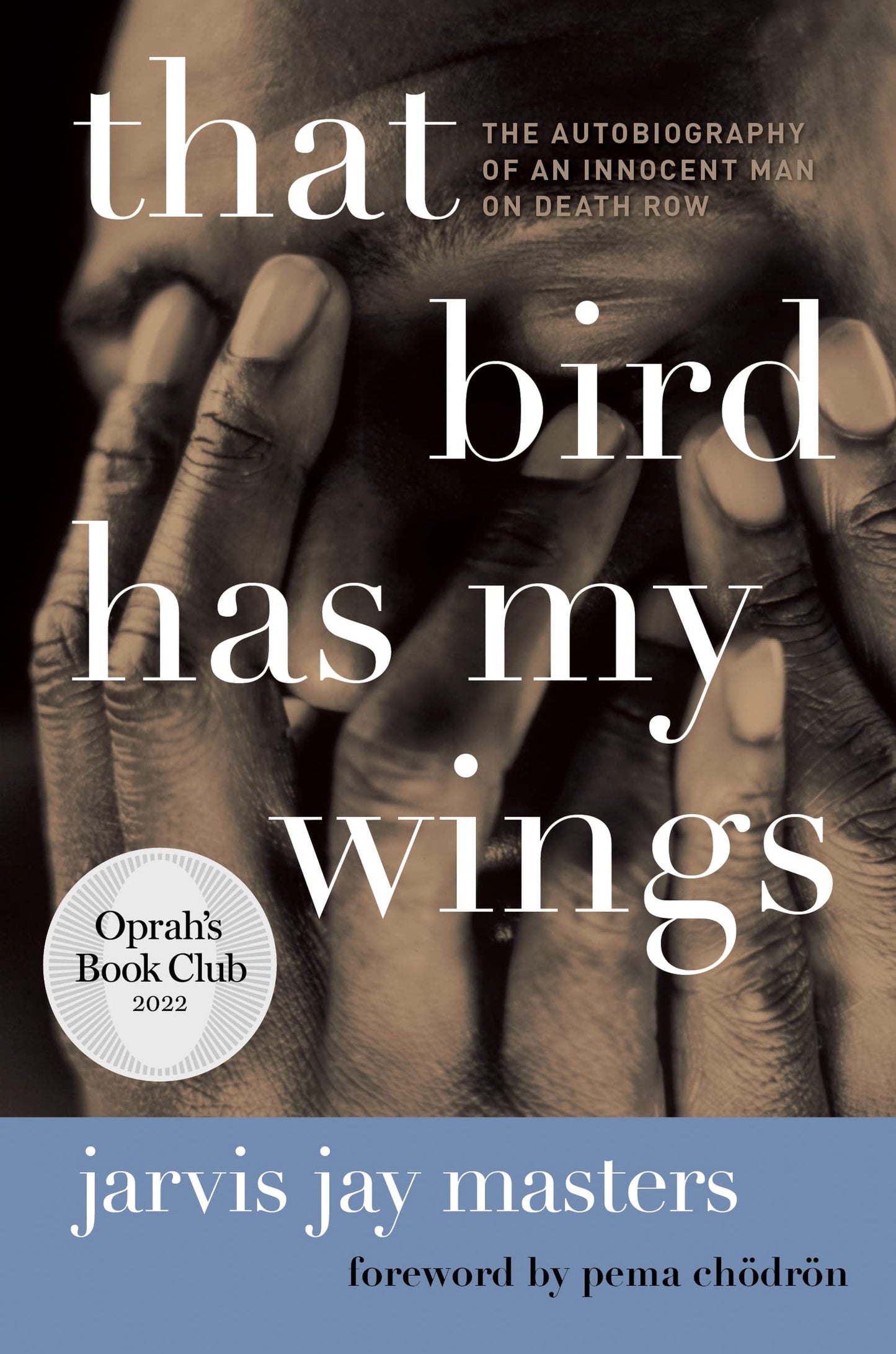 That Bird Has My Wings: The Autobiography of an Innocent Man on Death Row book cover