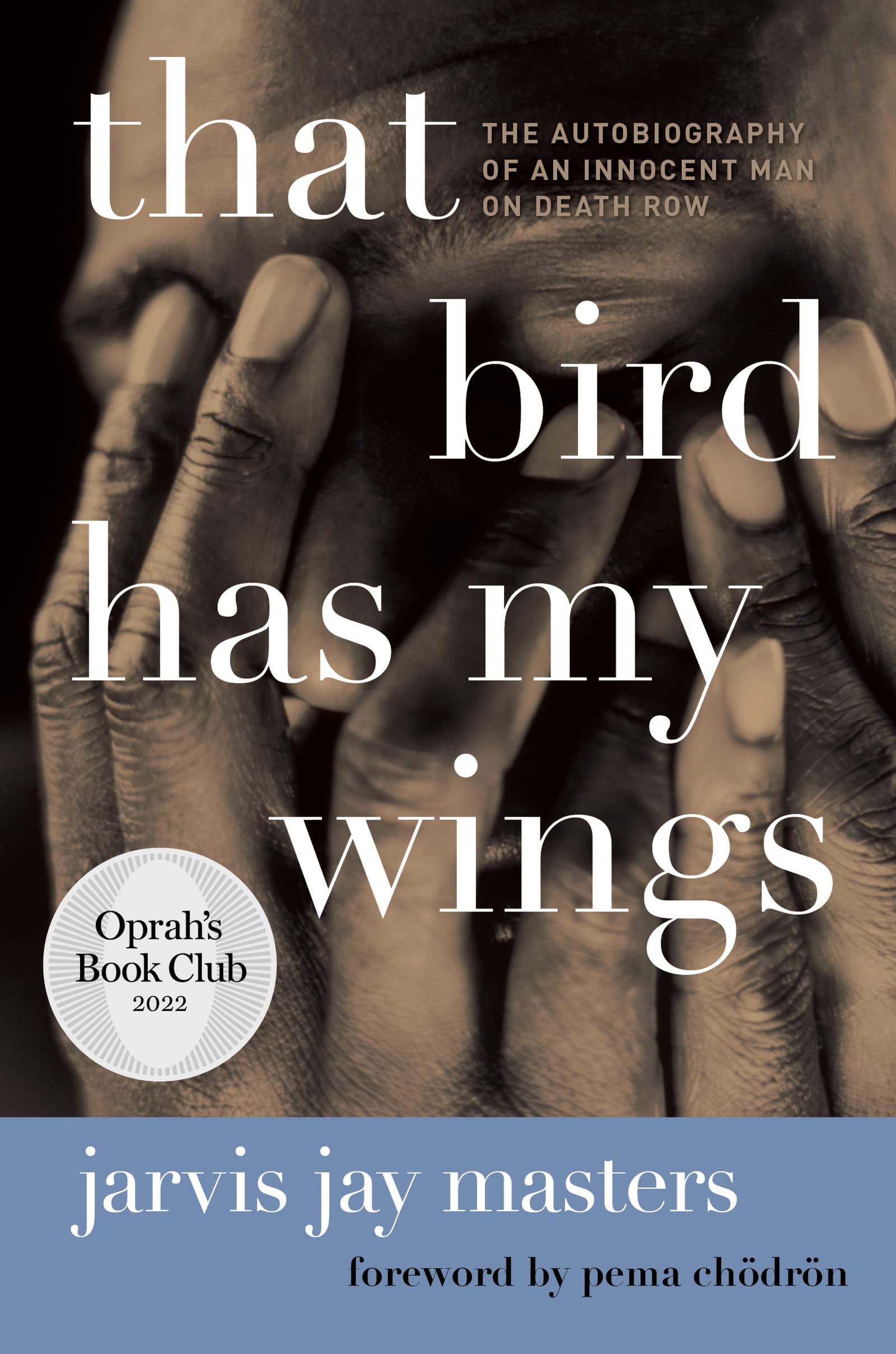 That Bird Has My Wings: The Autobiography of an Innocent Man on Death Row book cover