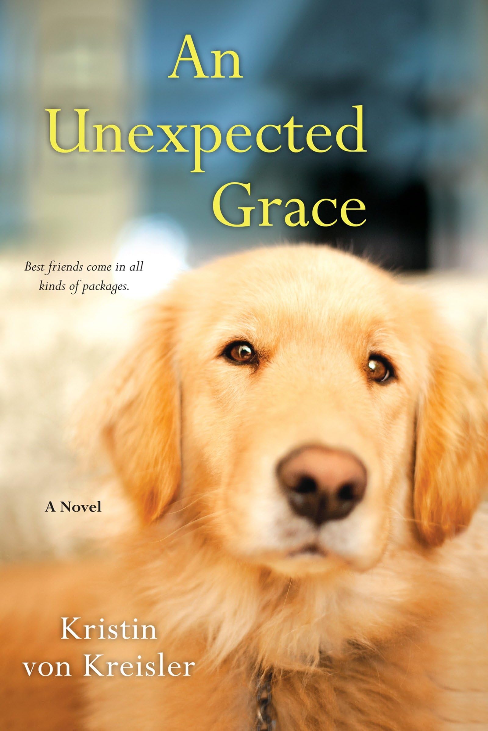 Unexpected Grace book cover
