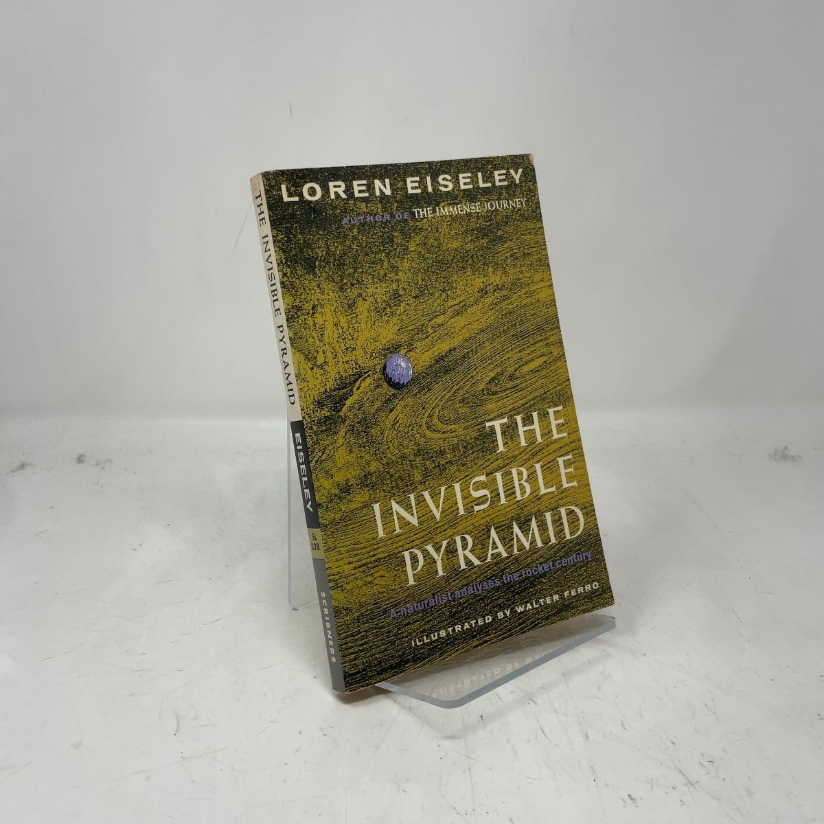 Invisible Pyramid book cover