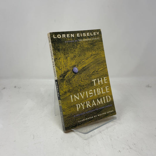 Invisible Pyramid book cover