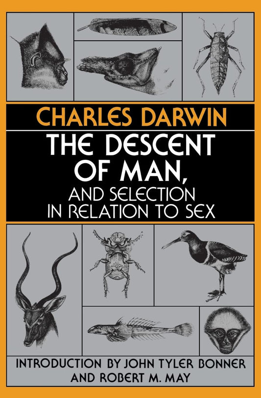 Descent of Man, and Selection in Relation to Sex (Revised) book cover