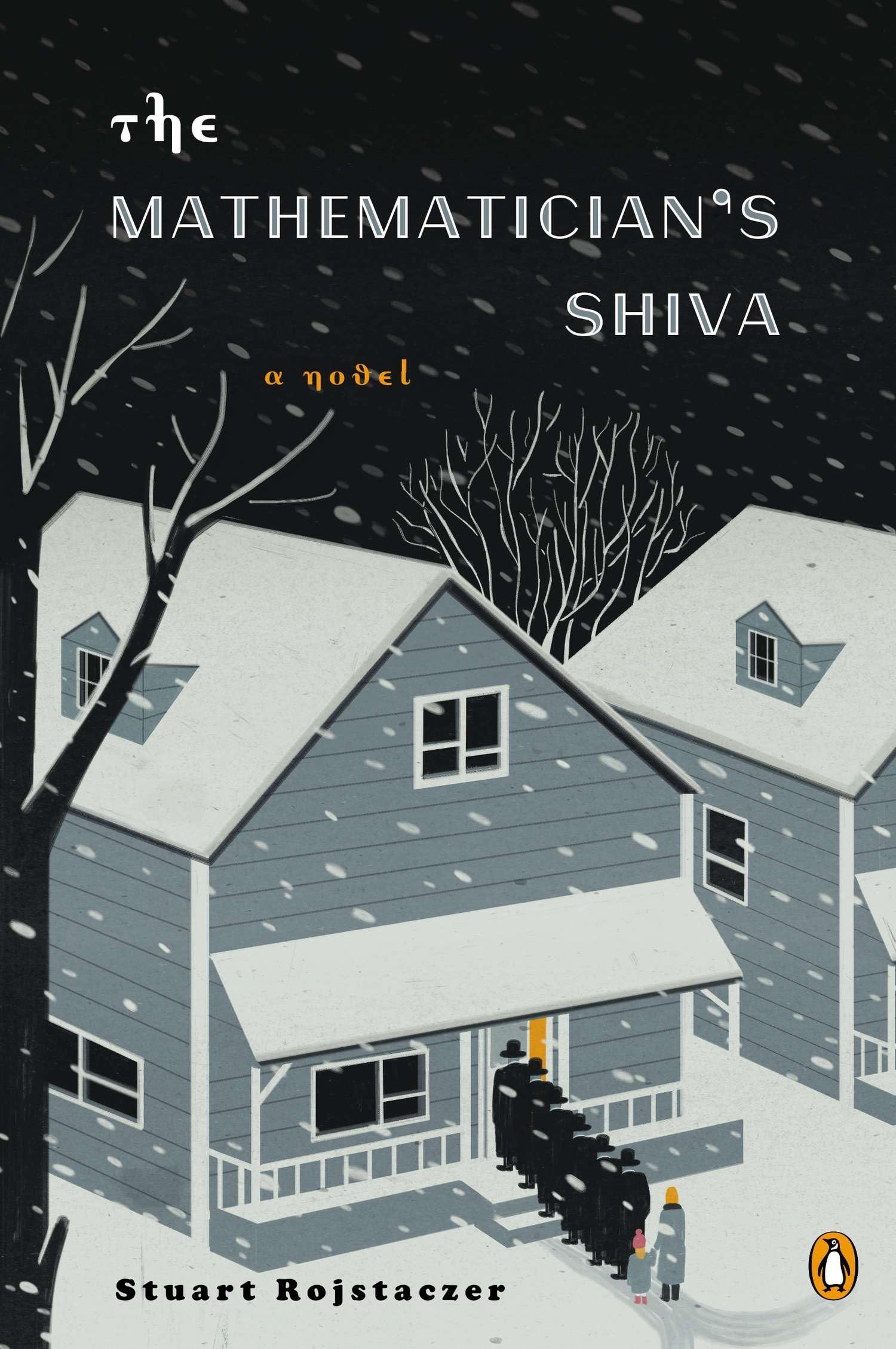 Mathematician's Shiva book cover