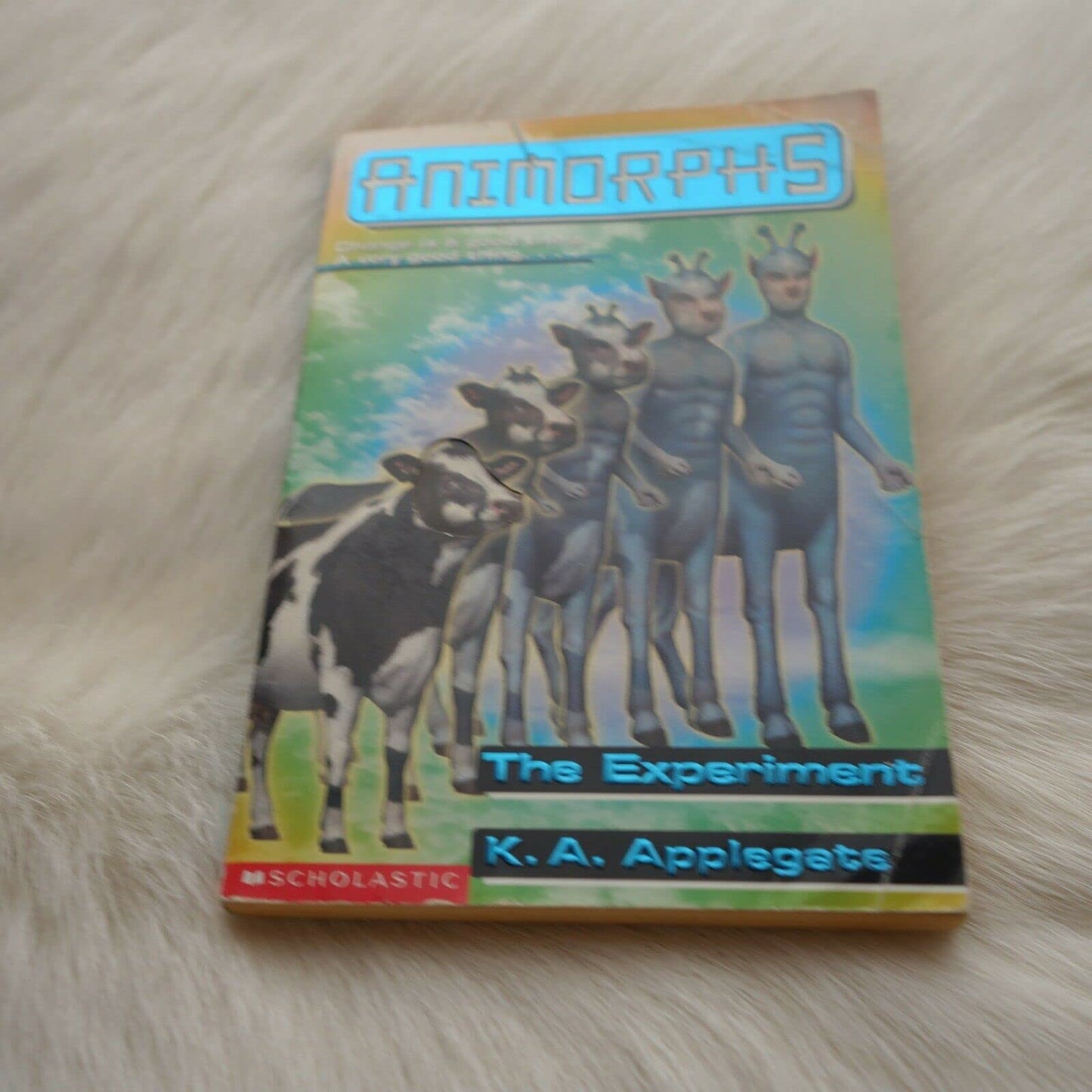 Experiment book cover