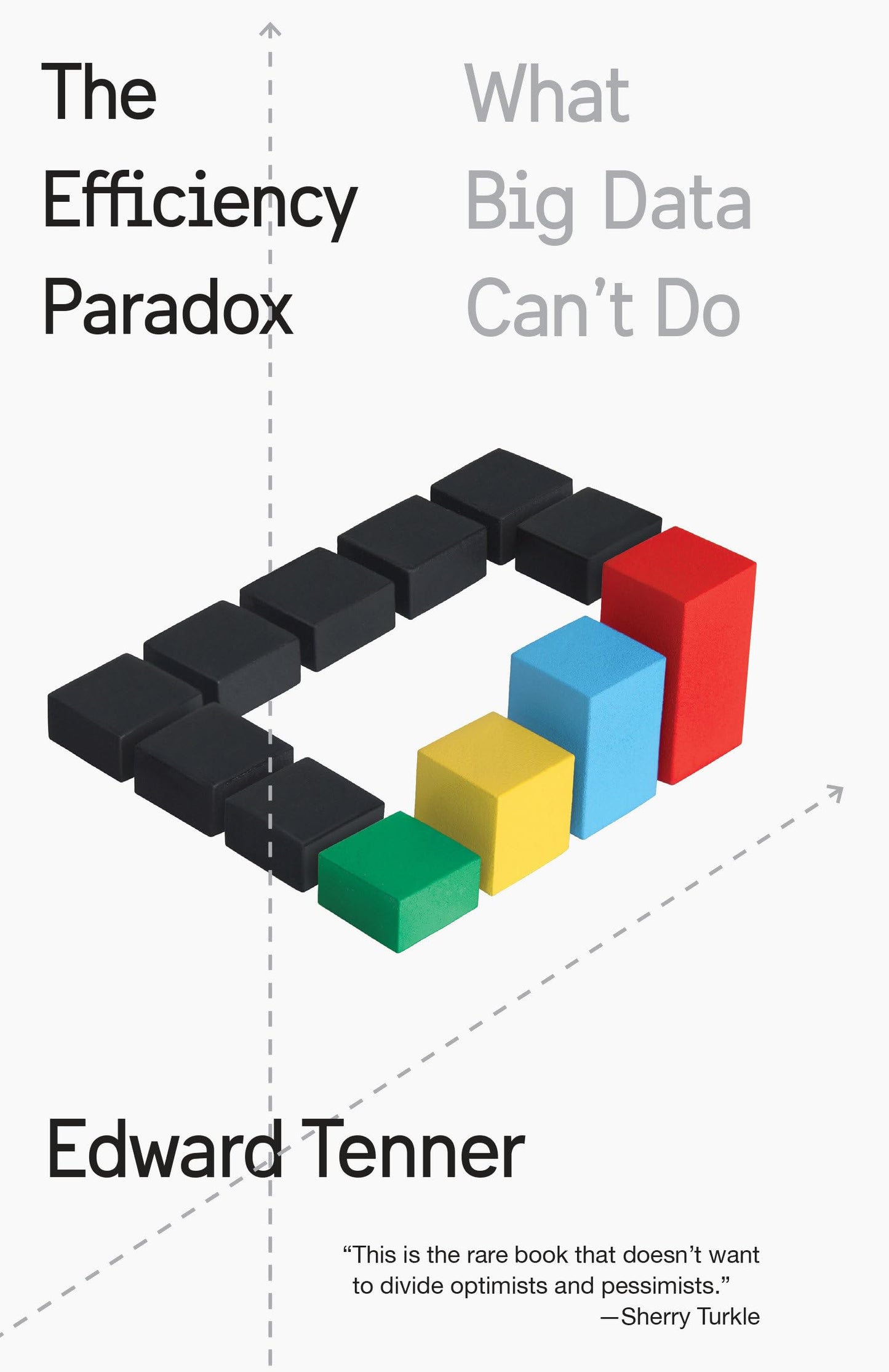 Efficiency Paradox: What Big Data Can't Do book cover